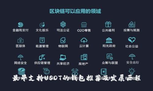最早支持USDT的钱包推荐及发展历程